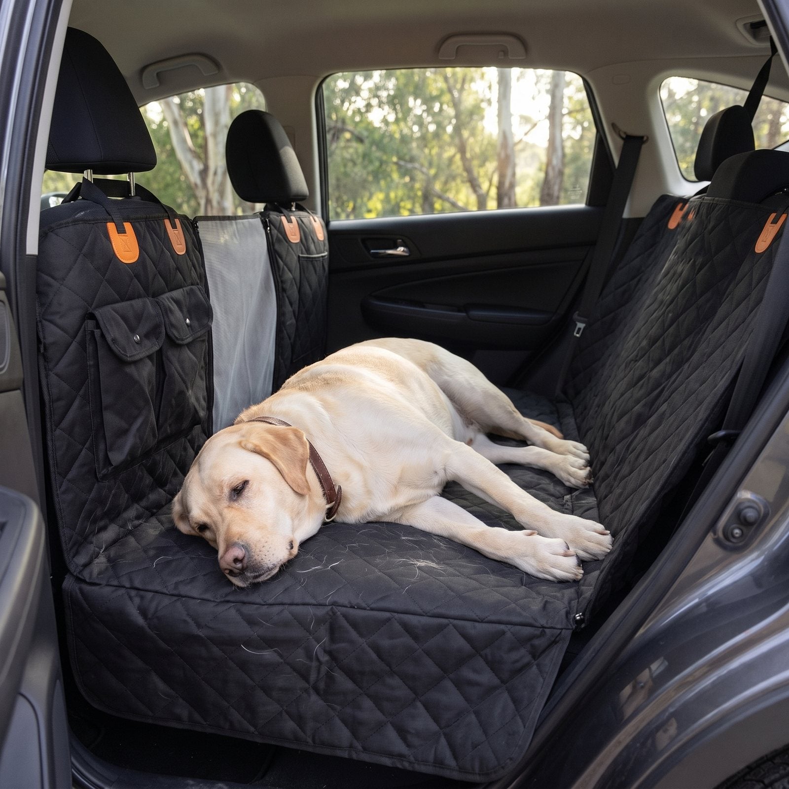 Hindseat Back Seat Deck