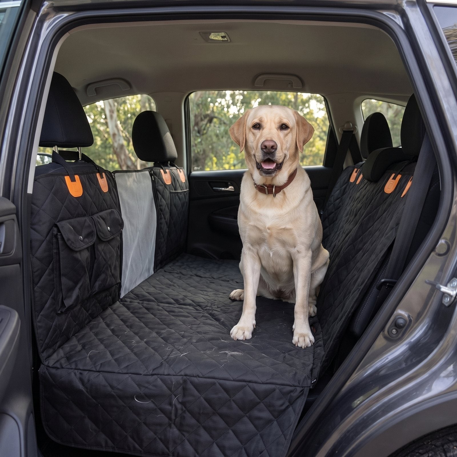 A yellow Labrador sitting up on the deck in the back of an SUV, the door open