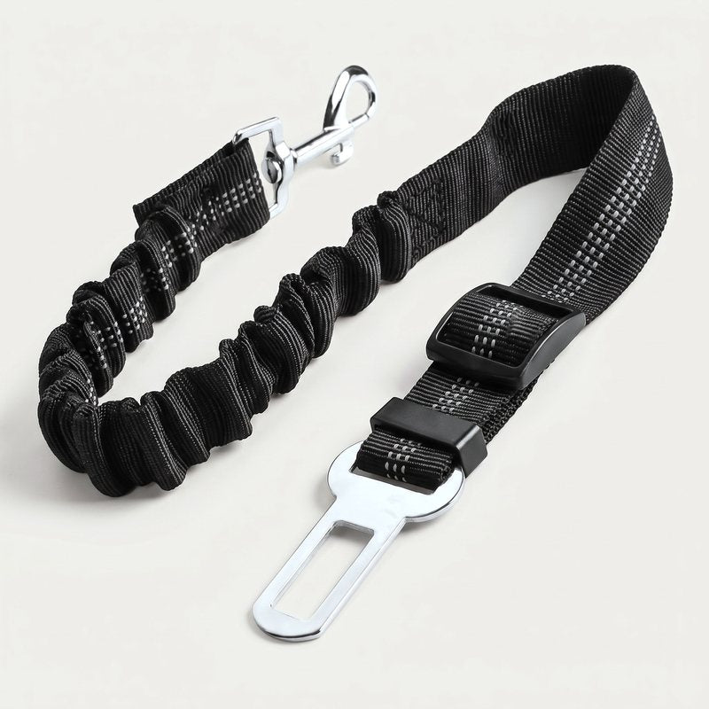 The Hindseat seat belt tether